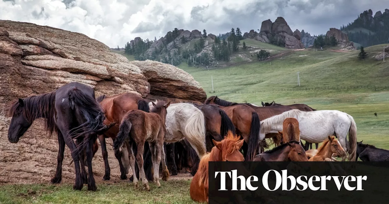 The ride of our lives: why the horse is crucial to human history