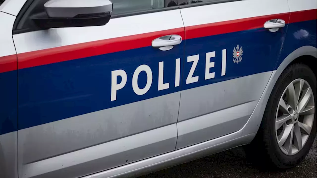 Duo steigt aus Auto aus, schlägt auf Lokal-Gäste ein