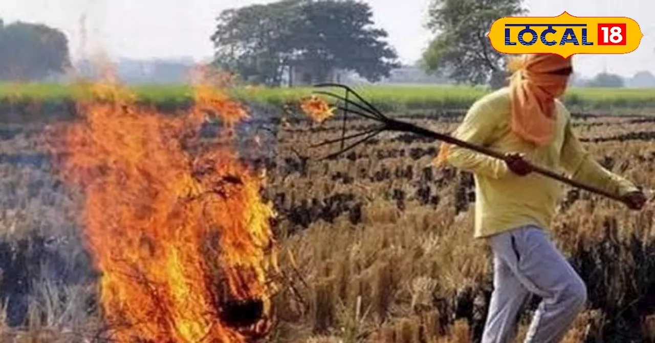 पराली जलाने वाले किसान हो जाएं सावधान, वरना होगी कड़ी कार्रवाई, भरना पड़ेगा भारी जुर्माना