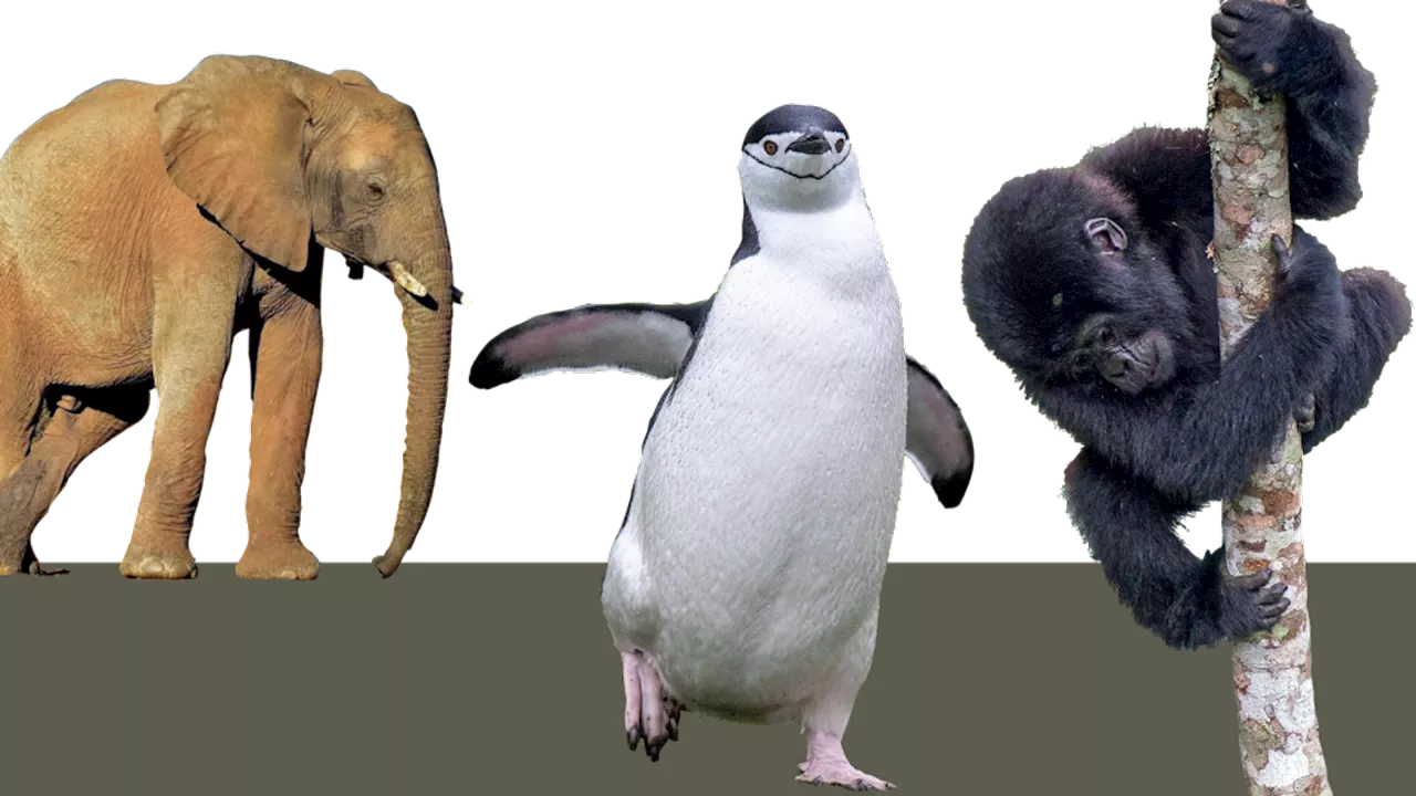 Biodiversiteten er under pres
