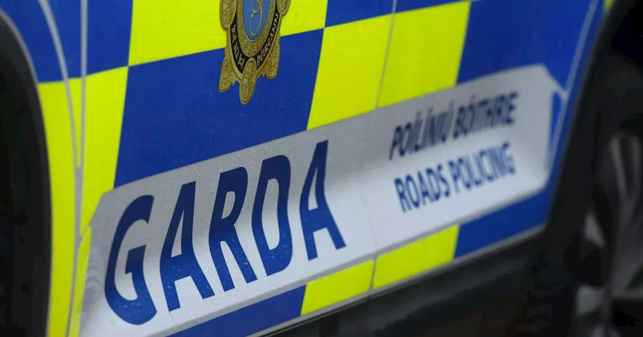 Pedestrian (20s) seriously injured in hit-and-run as gardai issue appeal