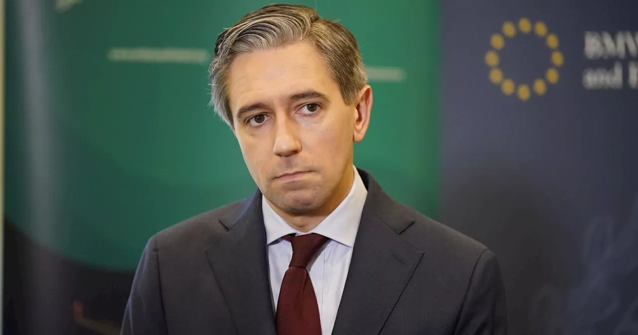 Simon Harris indicates General Election will be held in 2024