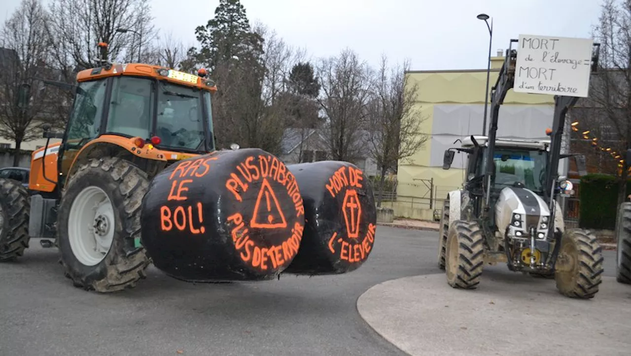 Bagnères-de-Bigorre : la fermeture de l’abattoir actée par la collectivité intercommunale