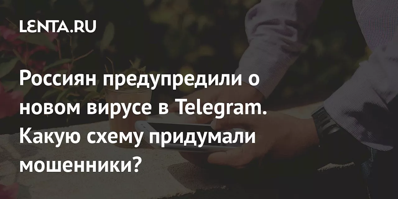 Россиян предупредили о новом вирусе в Telegram. Какую схему придумали мошенники?