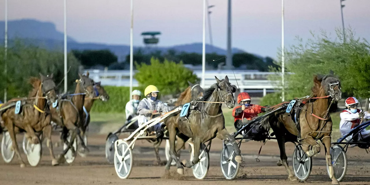 Prunelli-di-Fiumorbo va accueillir une journée exceptionnelle de courses hippiques