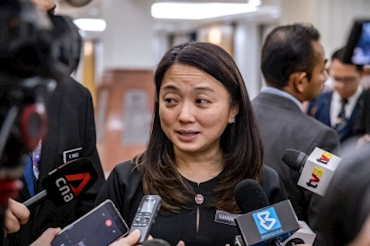 Budget 2025: No direct funds for Paralympic Council, para athlete development through National Sports Council, says minister