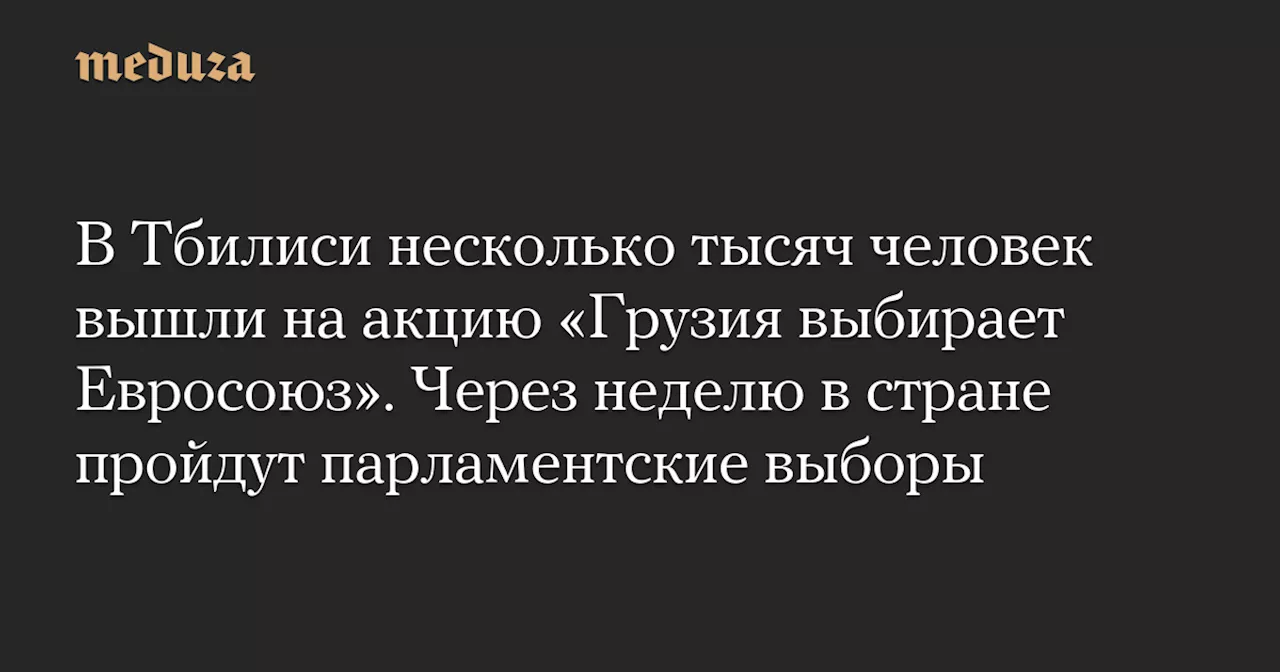 В Тбилиси несколько тысяч человек вышли на акцию «Грузия выбирает Евросоюз». Через неделю в стране пройдут парламентские выборы — Meduza