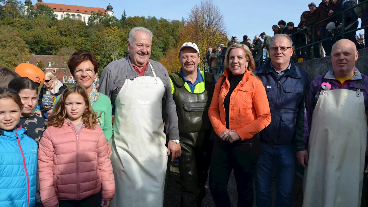 8.000 Speisekarpfen für den Sitzenberger Weihnachtsmarkt abgefischt