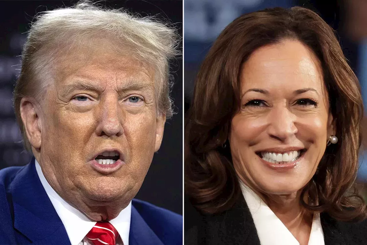 Donald Trump Calls Kamala Harris A 'S--- Vice President' As His ...