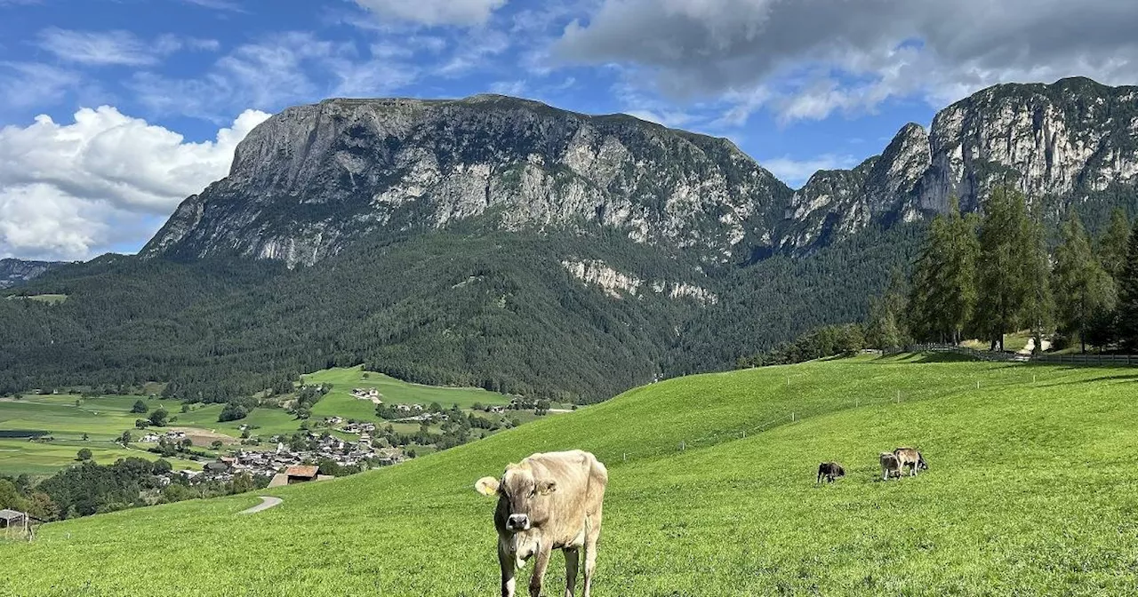 Italien: Bäuerliches Leben in Südtirol