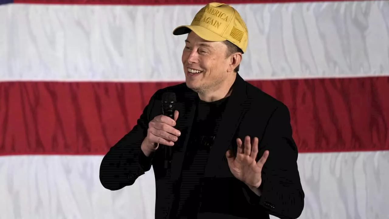 'Deeply concerning': Elon Musk handing out millions to US swing state voters