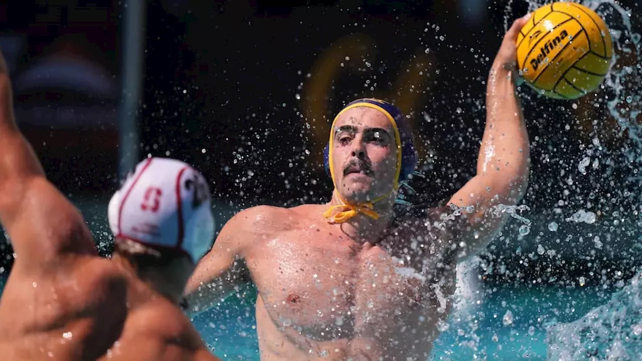 Cal Water Polo Shows Promise With 13-11 Conquest of No. 1 Stanford