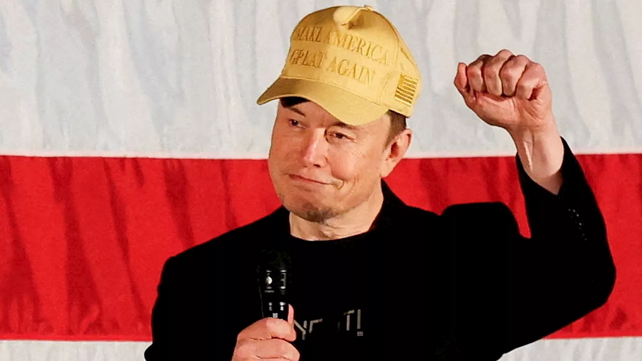 Elon Musk vows to give away $1m a day to someone who signs America PAC petition