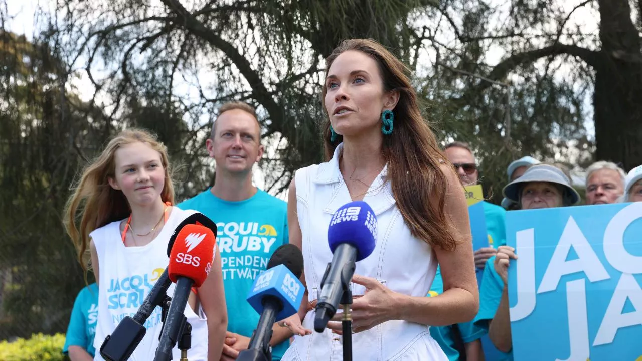 Teal Independent Looks Set To Win Pittwater Byelection