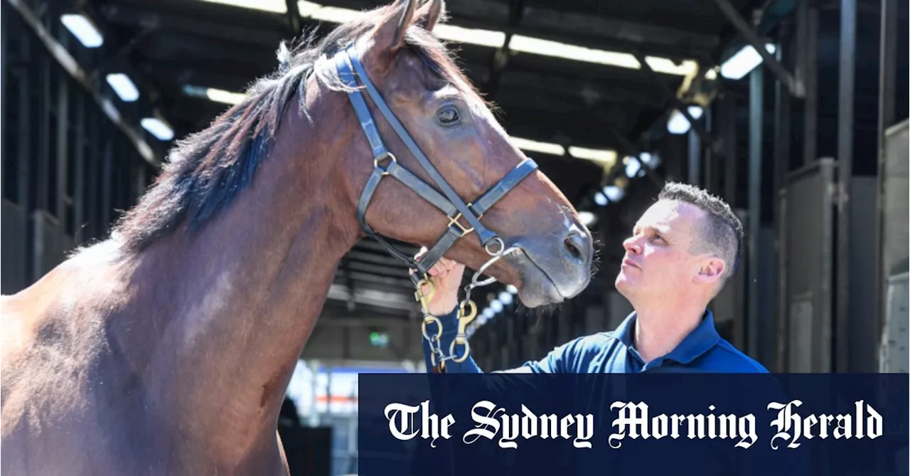 ‘I was fearing the worst’: 2023 Everest winner Think About It retired after miracle recovery