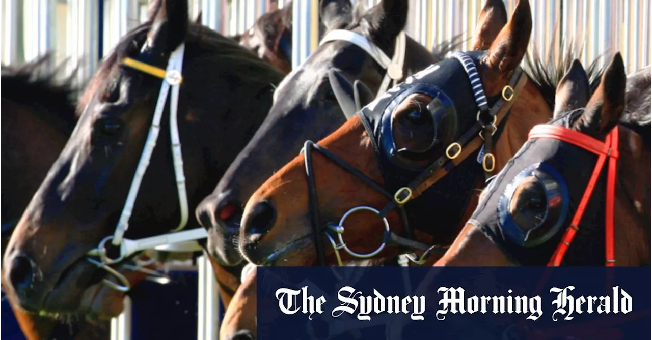 Race-by-race preview and tips for Muswellbrook on Monday