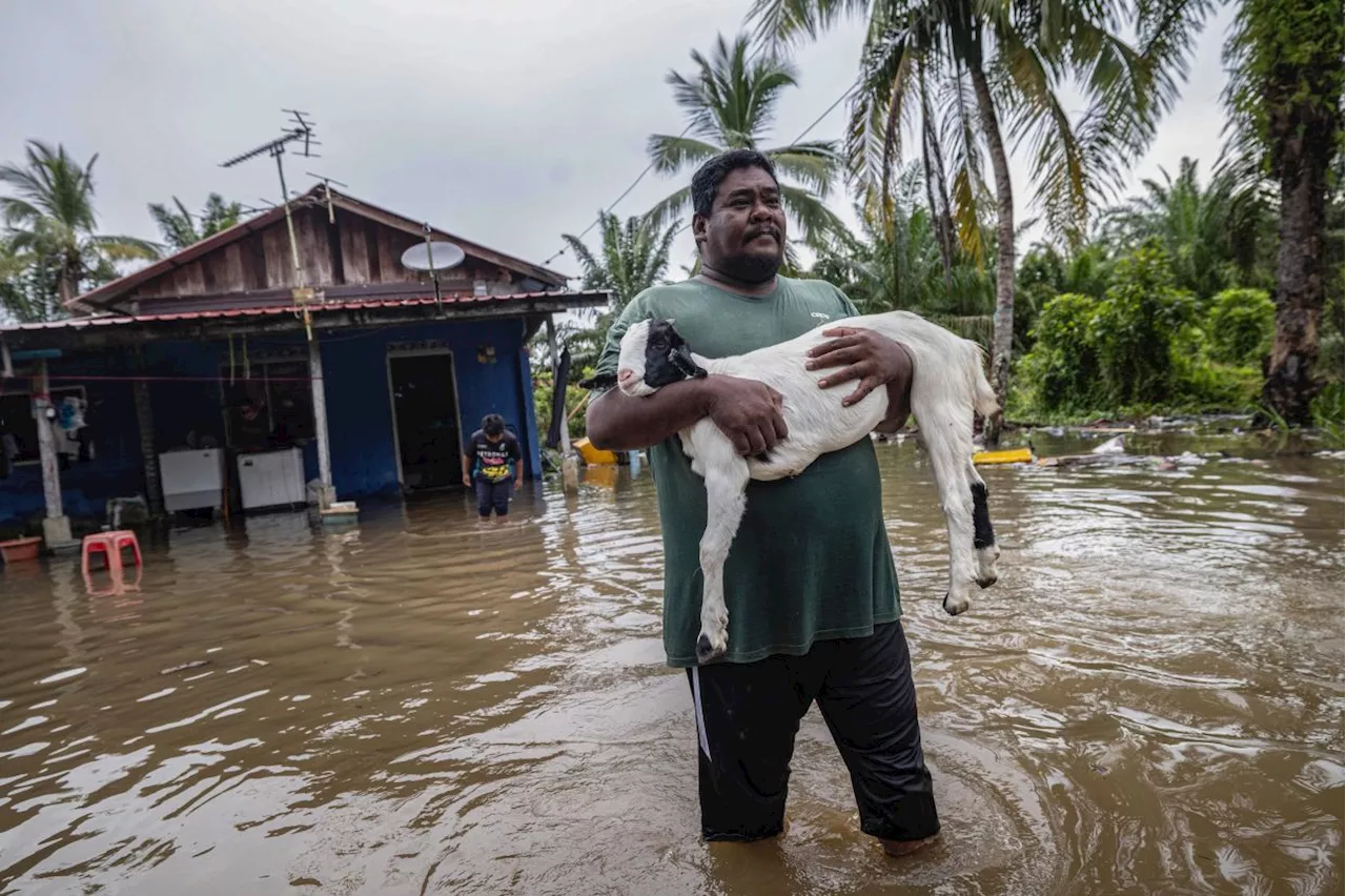 Floods: Number of evacuees drops in Pahang and Perak, up in Selangor, Kedah and Perlis