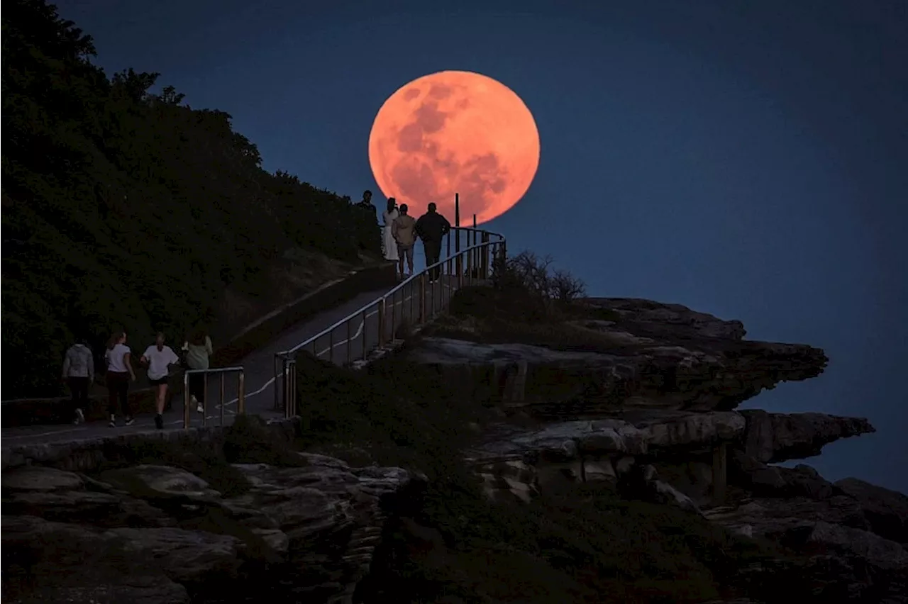 Today In Pictures: Supermoon Over Sydney, Floods In France And More