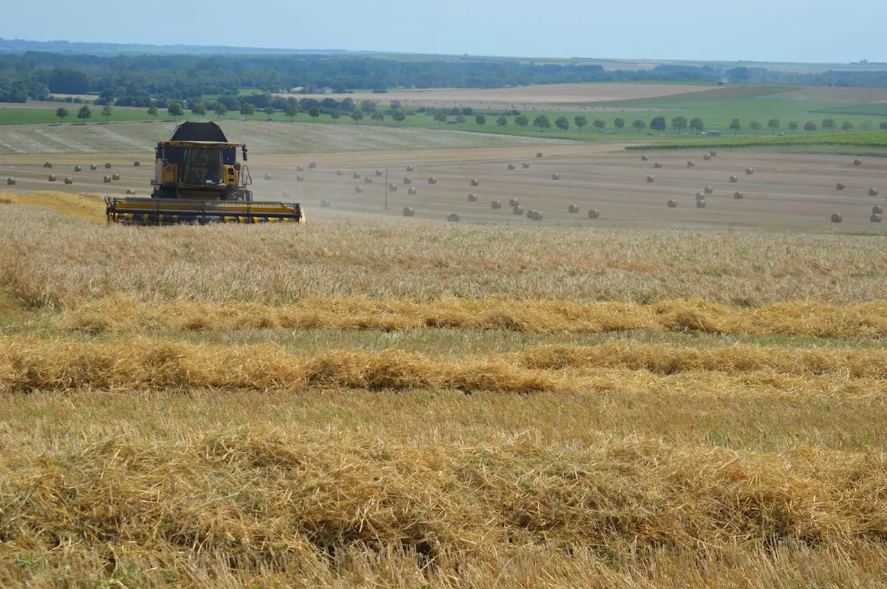 Agriculture et conflit de voisinage : « Quand une ferme disparaît, personne n’y gagne »