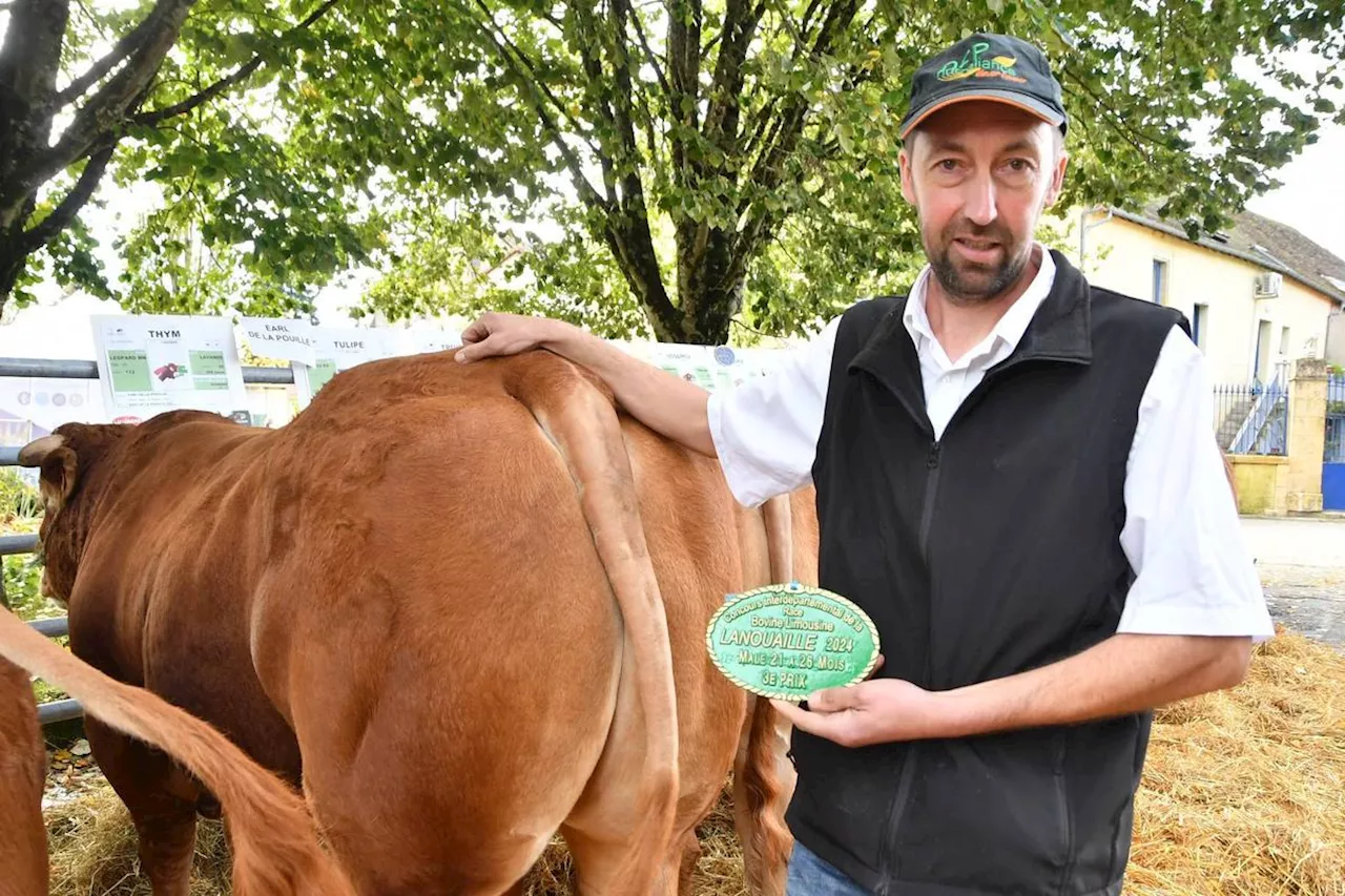 Dordogne : du « baume au cœur » pour les éleveurs au Comice agricole de Lanouaille