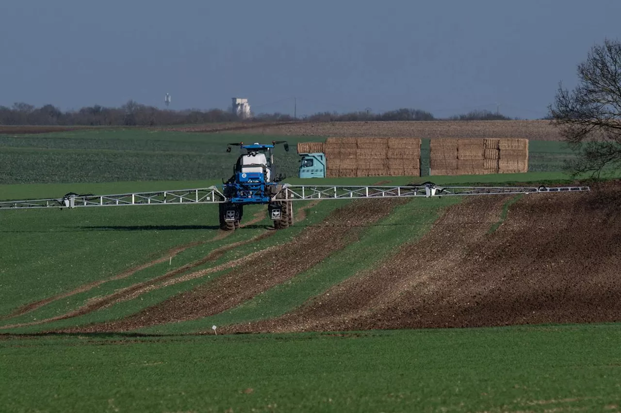 Pesticides en Charente-Maritime : la Chambre d’agriculture réclame « une étude scientifiquement reconnue »