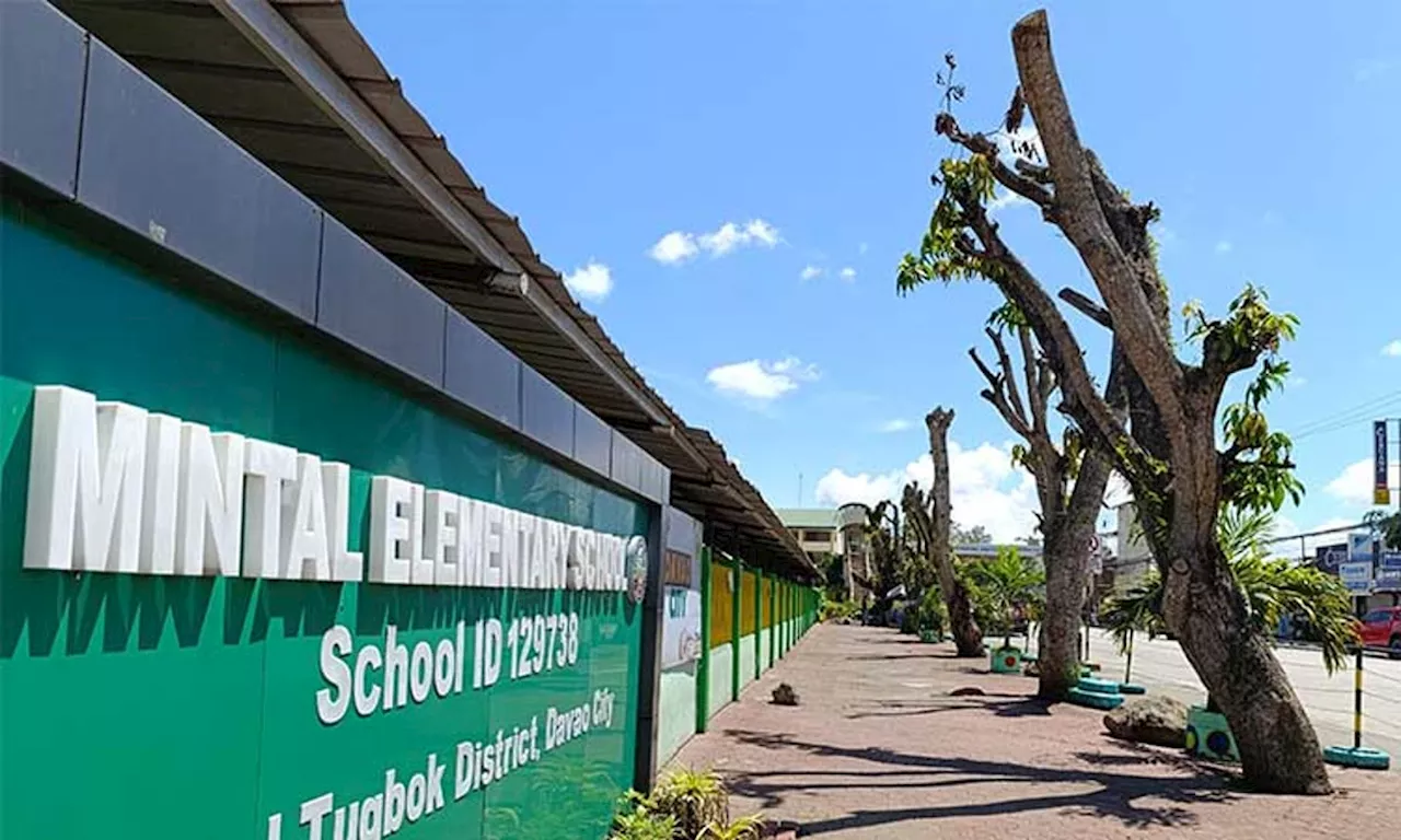 Kids’ safety school’s utmost concern in pruning trees