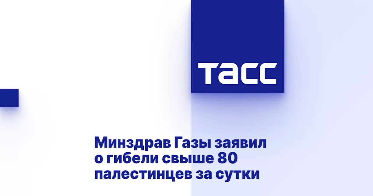 Минздрав Газы заявил о гибели свыше 80 палестинцев за сутки