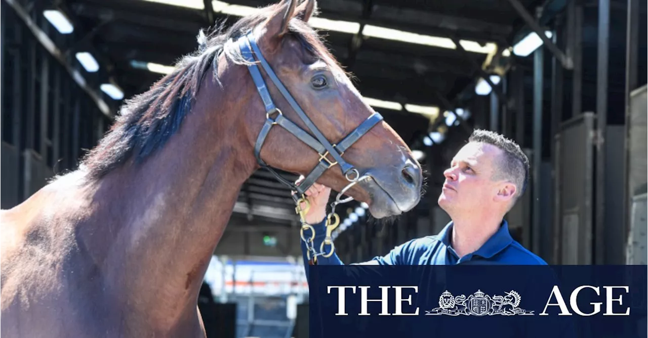 ‘I was fearing the worst’: 2023 Everest winner Think About It retired after miracle recovery