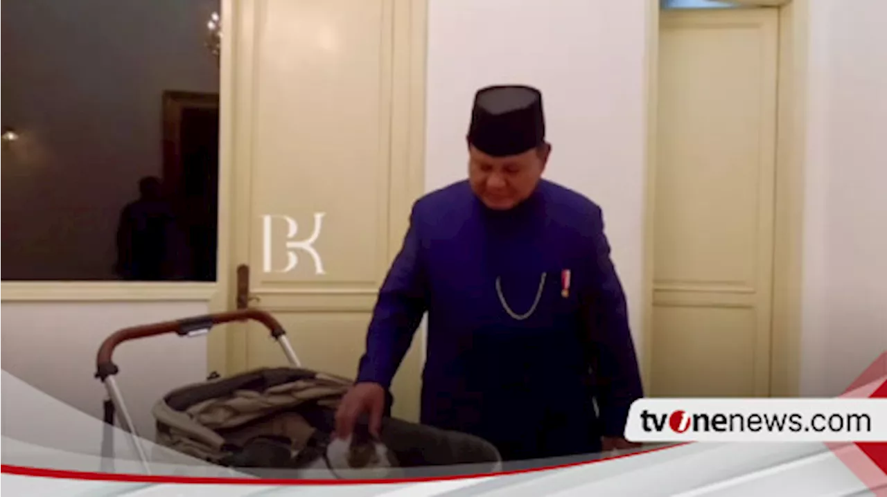 'Bobby' Kucing Kesayangan Presiden Prabowo Resmi Jadi Penghuni Istana, Punya Kamar Khusus