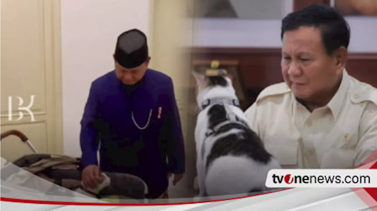 Prabowo Bawakan Kucing Bobby Kertanegara ke Istana