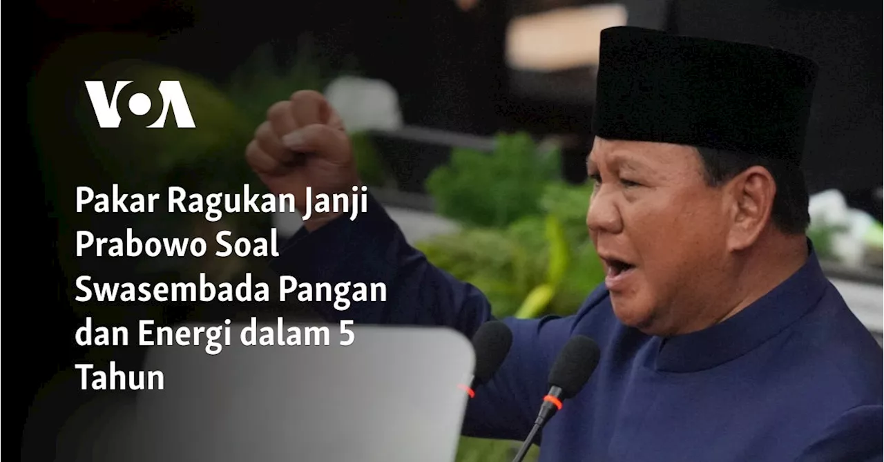 Pakar Ragukan Janji Prabowo Soal Swasembada Pangan dan Energi dalam 5 Tahun