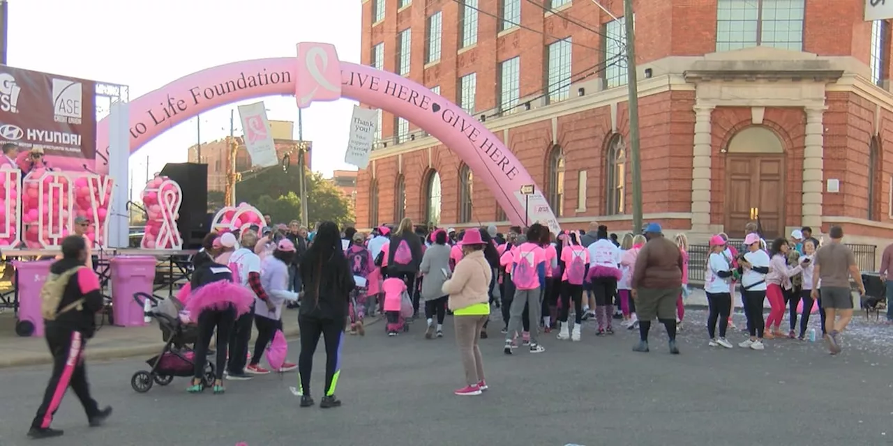 Joy to Life holds annual Walk of Life breast cancer fundraiser