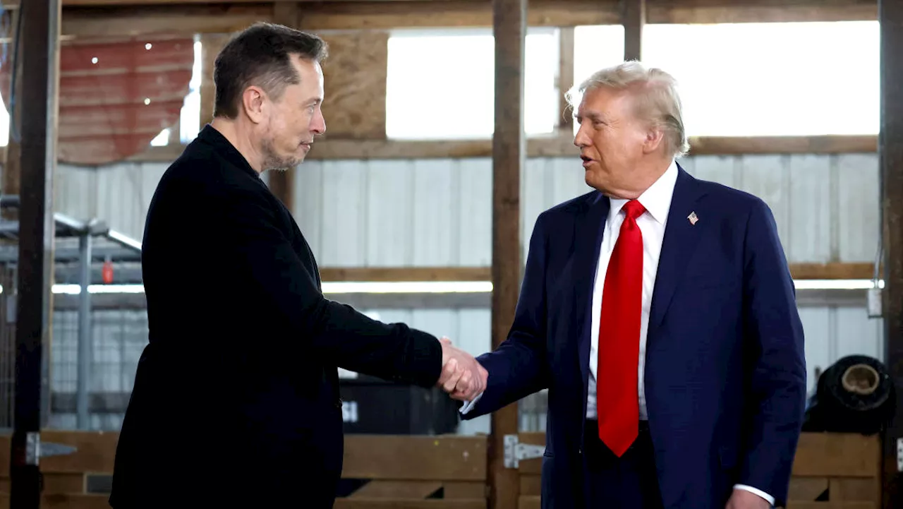 Why Elon Musk and other Silicon Valley billionaires are backing Trump