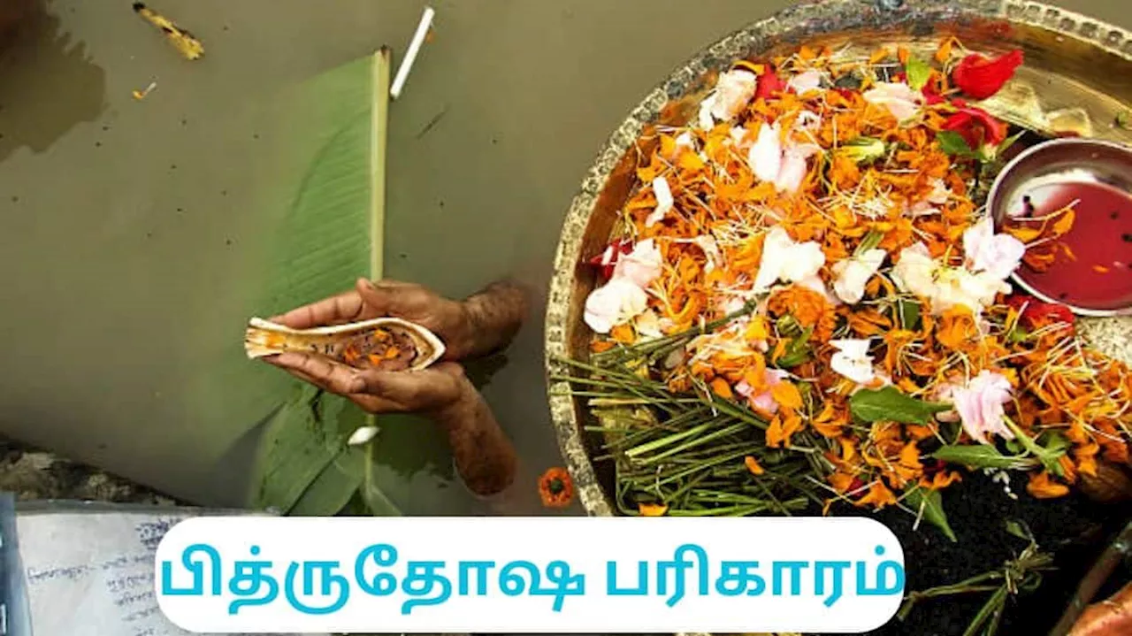  பித்ரு தோஷம் என்றால் என்ன? அது நீங்க செய்ய வேண்டிய எளிய பரிகாரம்