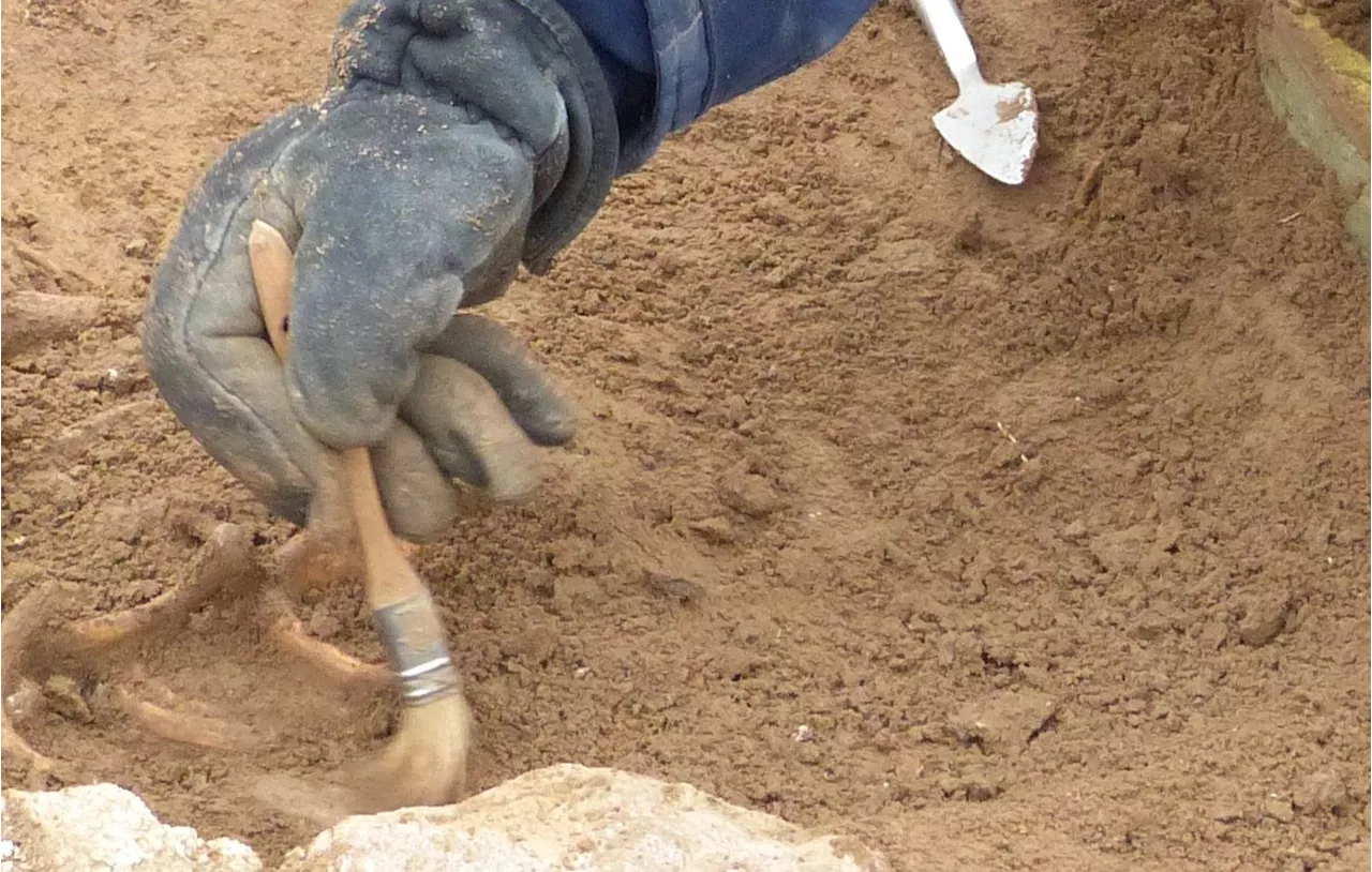 Puy-de-Dôme : Un vestige gallo-romain découvert lors de fouilles archéologiques à Corent