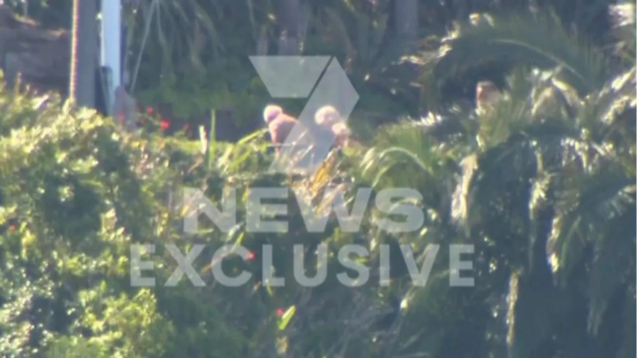 King Charles and Queen Camilla Australia tour: Royals sunbake on Sydney Harbour at Admiralty House