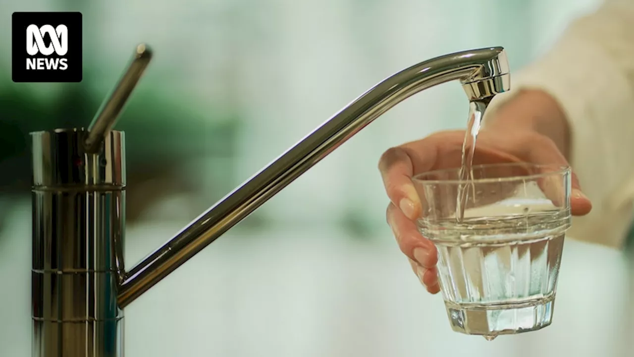 New draft limits on PFAS in Australia's drinking water released by national medical research body