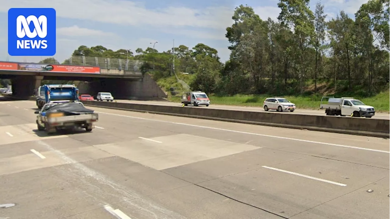 NSW coroner identifies critical police CPR training gaps after fatal Sydney M5 encounter