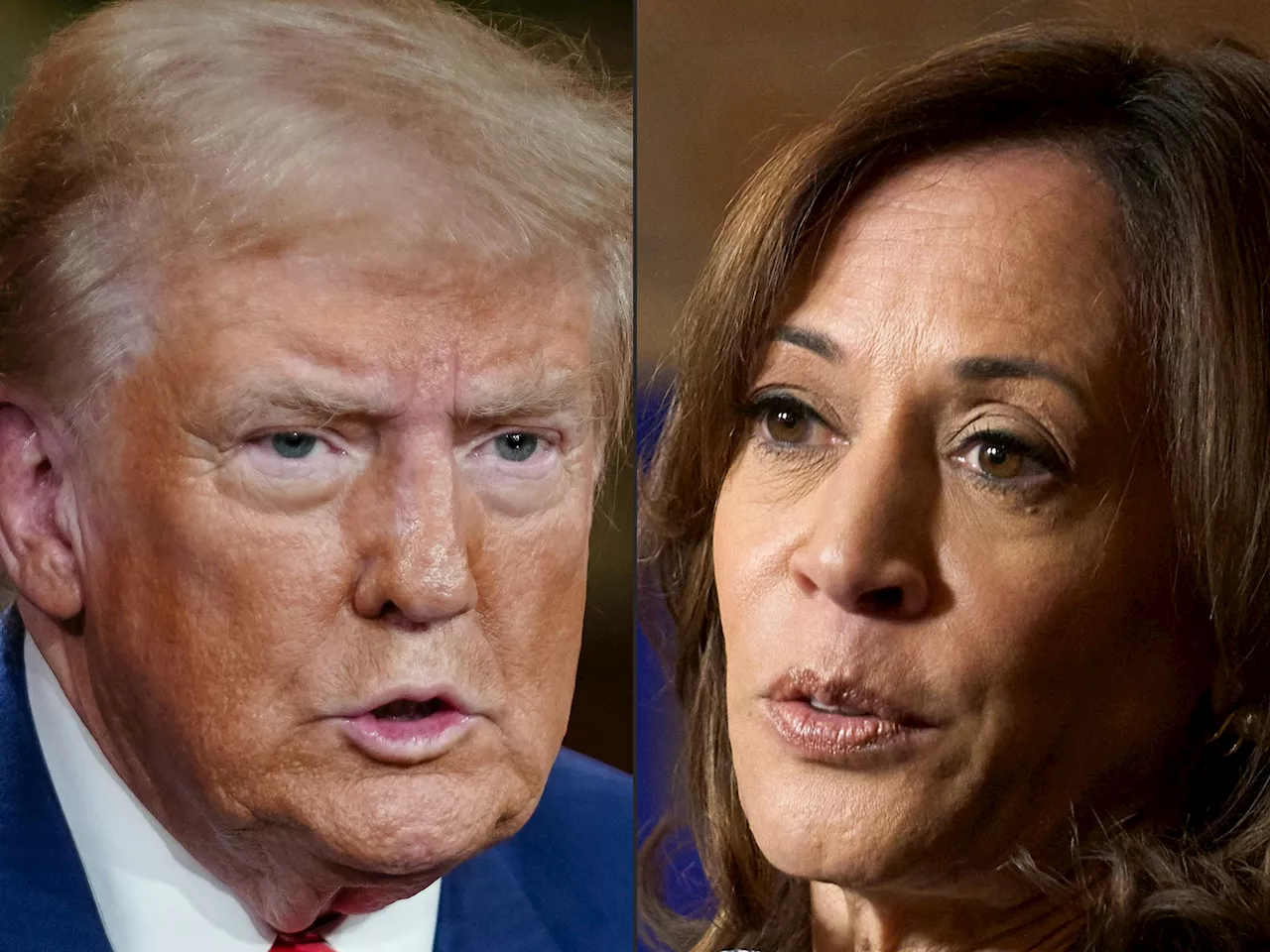 Trump-Harris, è testa a testa nei sette stati chiave: il sondaggio