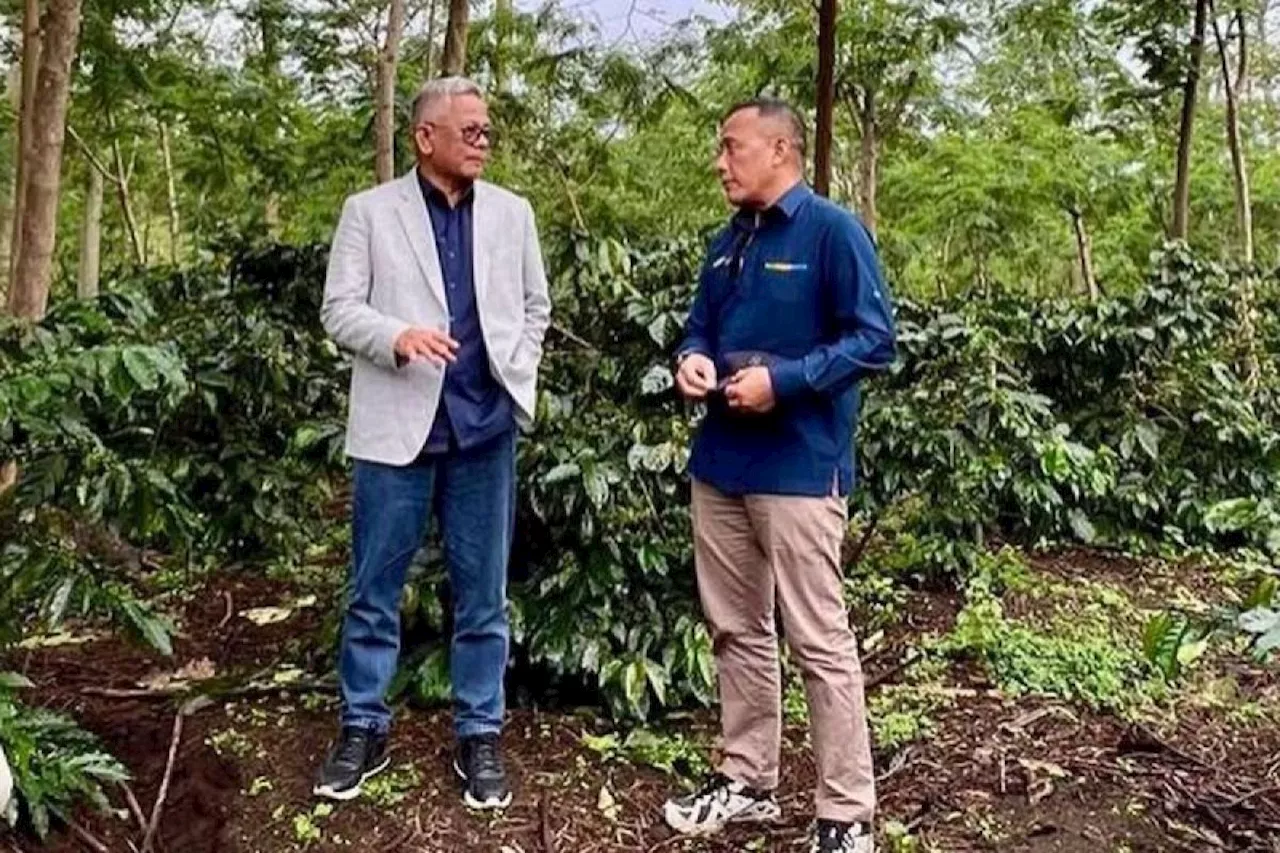 PTPN IV PalmCo sebut produksi 'Java Coffee' sudah tembus pasar global