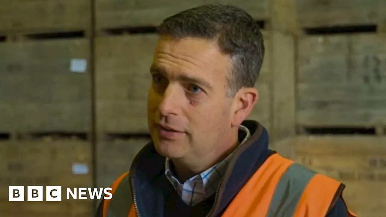 Essex potato harvest hit by rising costs and bad weather