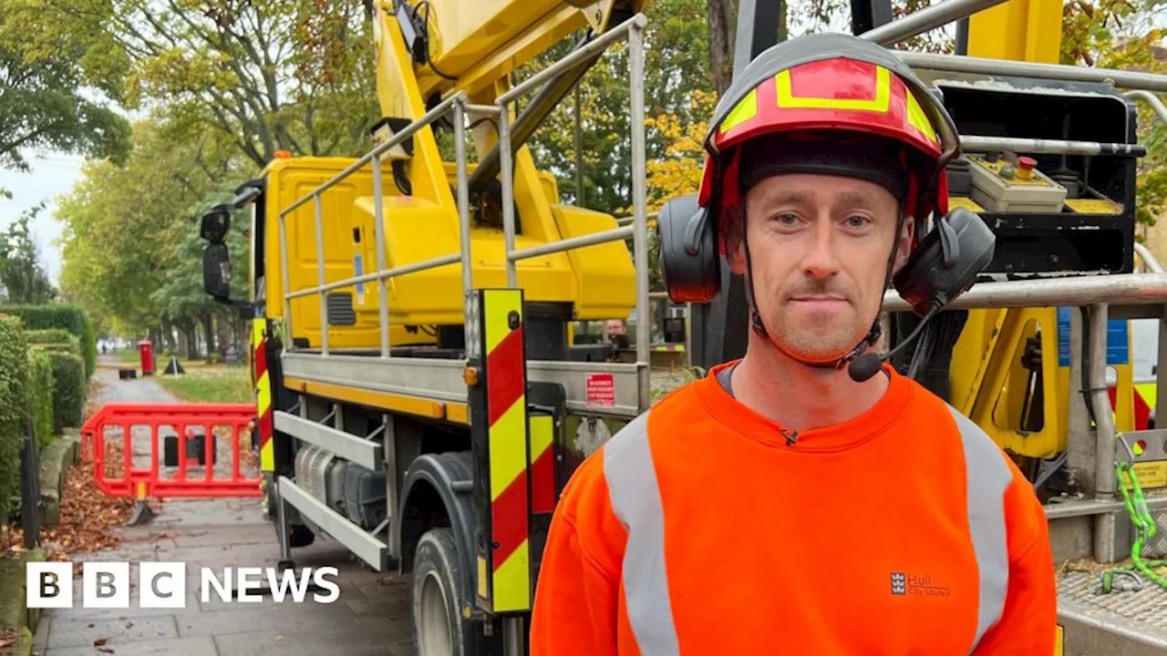 Hull crews work to keep trees safe ahead of storm season