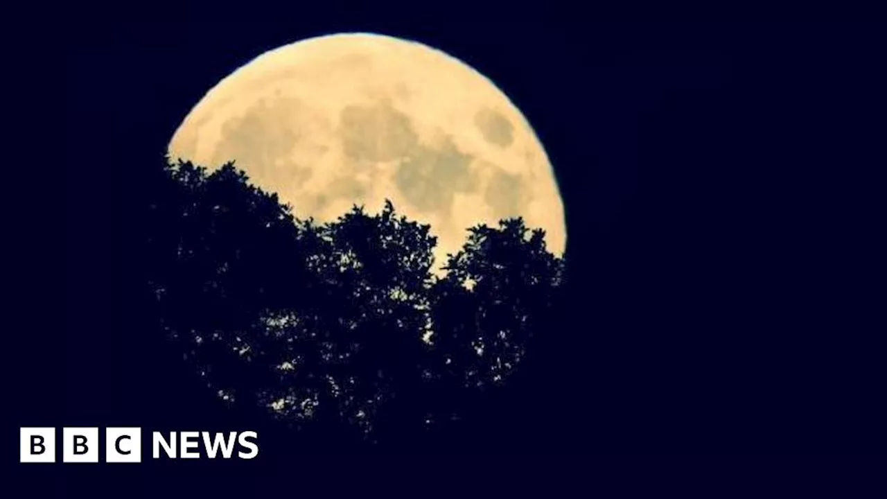 Hunter's Moon: Supermoon lights up West Midlands' sky