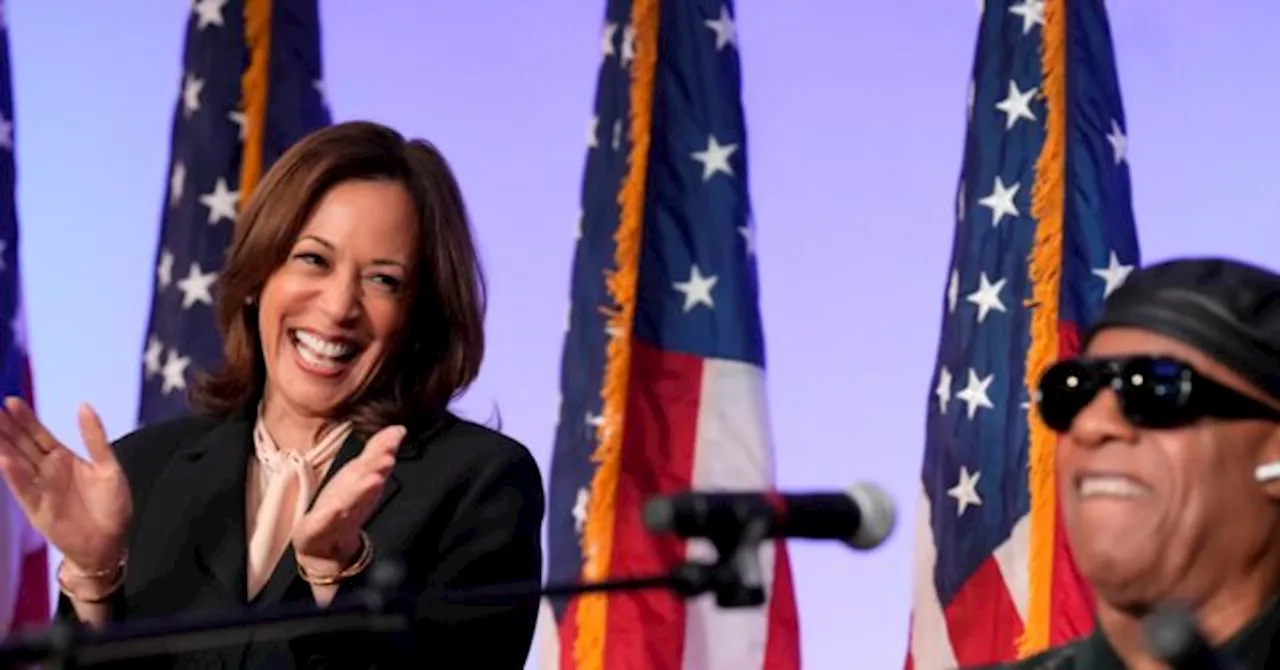 Kamala Harris Leans on Stevie Wonder in Multiple Campaign Events as Black Voter Support Wanes