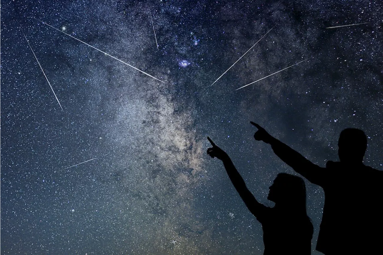 How to view the peak of this bright meteor shower with 'fireballs' in Metro Vancouver