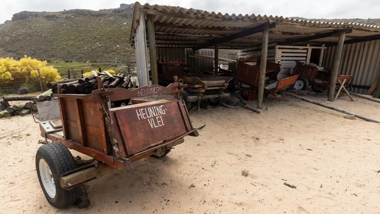 Donkey carts stand idle as tourism dies in Cederberg village