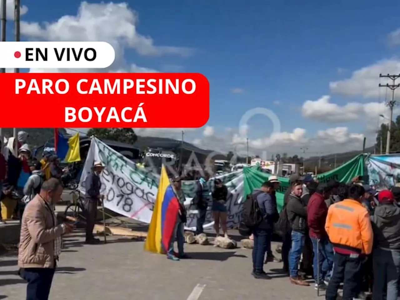 🔴 Minuto a minuto del PARO campesino hoy en Boyacá: Vías bloqueadas y última hora