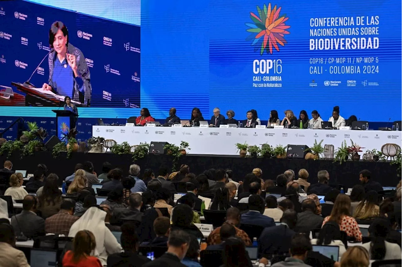 Negociações sobre biodiversidade na Colômbia ‘trilham caminho’ para COP30 no Brasil