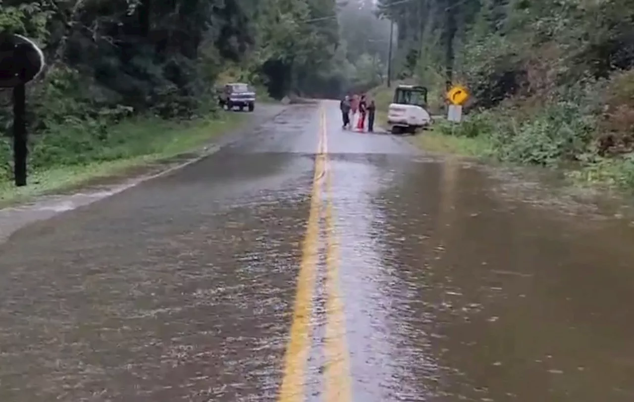 Flood advisories lifted for Vancouver Island after ‘copious,’ record-breaking rainfall: Environment Canada