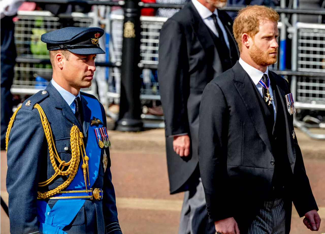 William et Harry : cet acteur star pris malgré lui entre deux feux